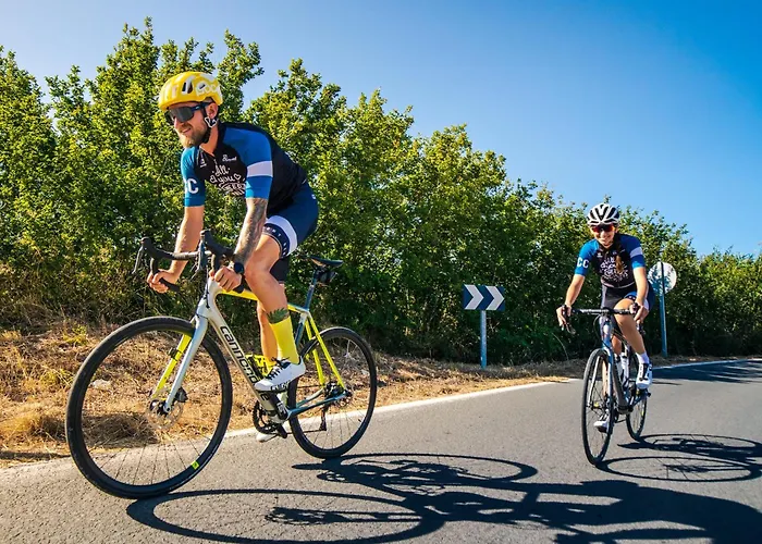 Апартаменты Pollensa Cycling