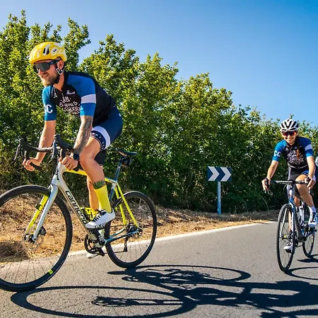 아파트 Pollensa Cycling