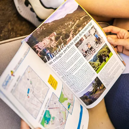 Daire Pollensa Cycling *